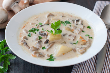 plate of vegetarian mushroom soup