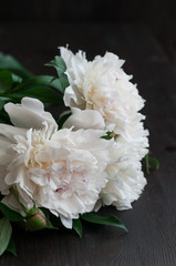 Stunning white peonies on rustic wooden background