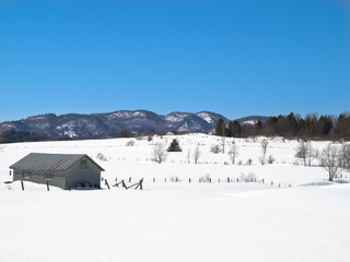 Winter open fields with old barn