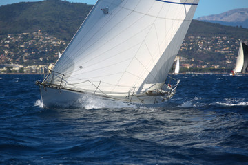 Naklejka premium voiliers