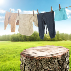 clothes and tree 