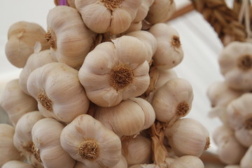 Bündel Knoblauch