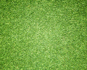 Fototapeta premium Golf Courses green lawn
