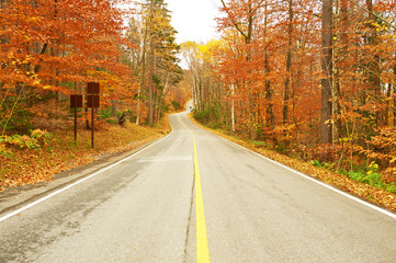 Autumn scene with road
