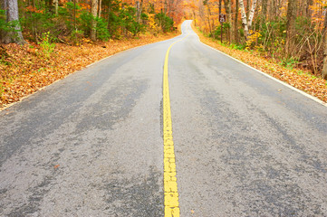 Obraz premium Autumn scene with road