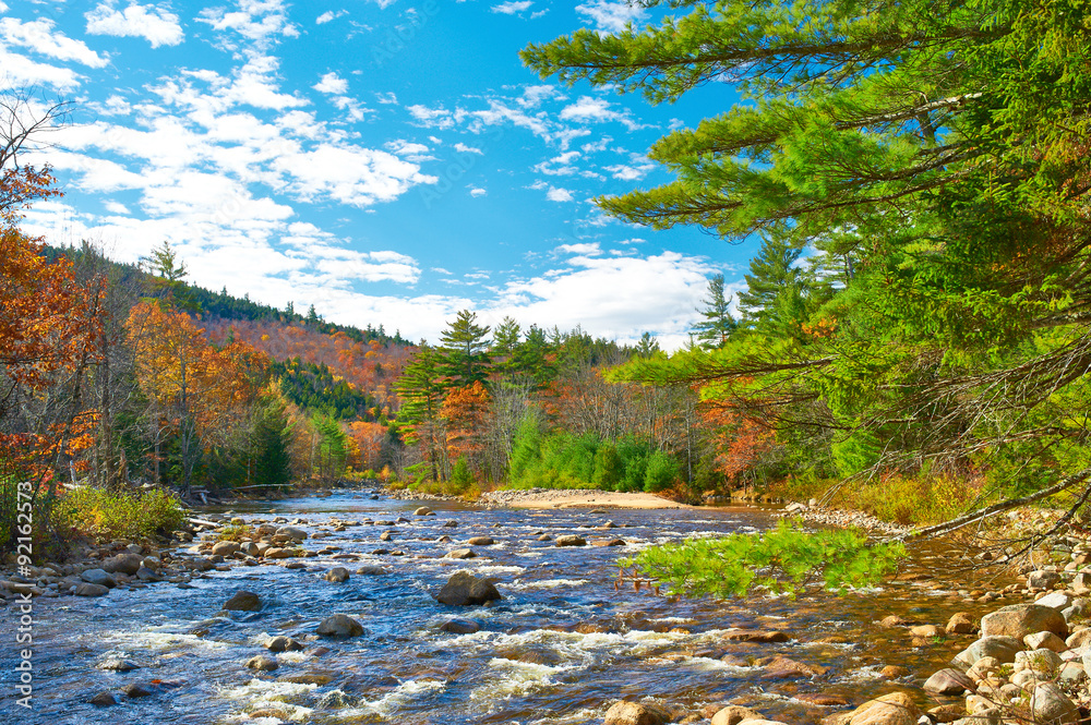Canvas Prints swift river at autumn