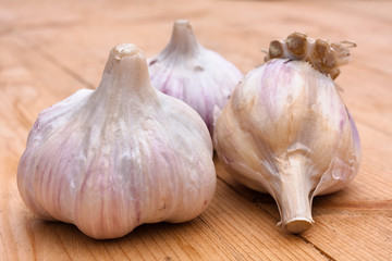 garlic on wooden table (selective focus used)
