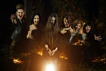 Six beautiful witches are looking at the camera. Dark forest on