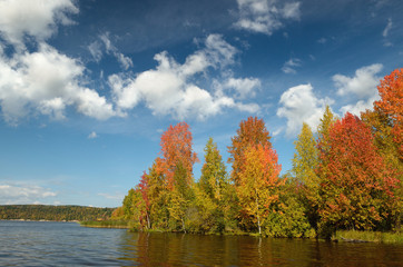 colorful autumn forest lake river sky clouds Cirrus