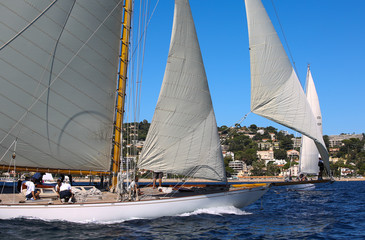 Naklejka premium voiliers