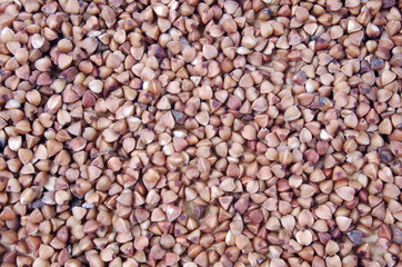 buckwheat background