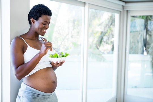 Portrait of smiling pregnant woman having salad