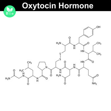 Oxytocin  hormone molecule
