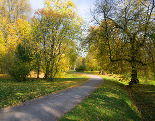 View  colorful park alley in autumn.