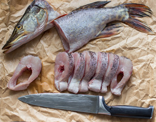 Pike. Pieces of fresh raw fish