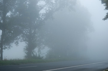 Nebel 