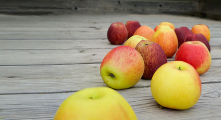Plenty of red and pink apples