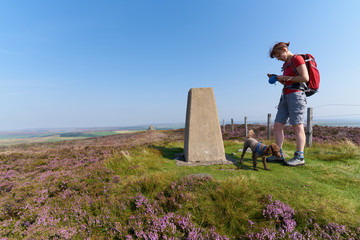 A hiker walking their dog in the English Countryside