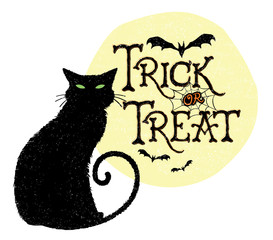 Trick or Treat Cat