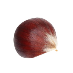 chestnut isolated on white background, sweet edible chestnuts