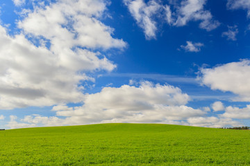 Fototapeta na wymiar Green field and blue sky in Aberdeenshire, Scotland, UK
