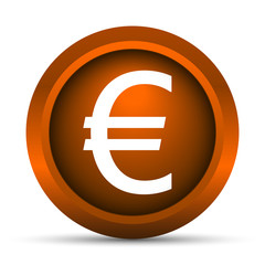 Euro icon