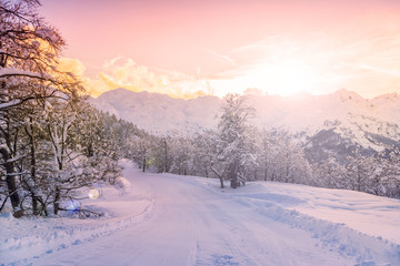 Winter landscape near Vogel ski center