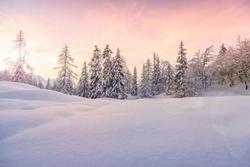 Paysage d& 39 hiver près du centre de ski de Vogel