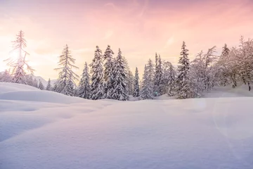 Foto auf Acrylglas Hügel Winterlandschaft beim Skizentrum Vogel