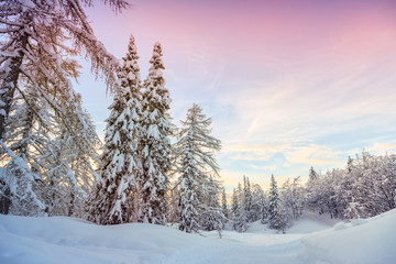 Winter landscape near Vogel ski center