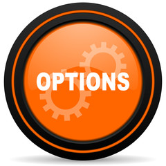 options orange glossy web icon on white background