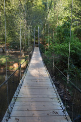 Swinging Bridge