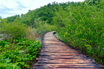 Obraz premium Boardwalk in the park Plitvice lakes