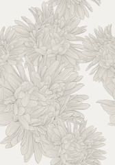 Beautiful monochrome, black and white seamless background with flowers aster.