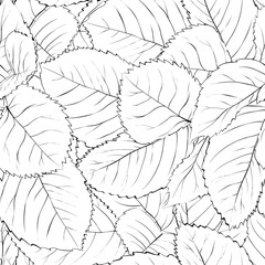 black and white seamless background with leaves
