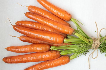 Bunch of carrots tied with string