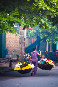 vietnam florist vendor in hanoi
