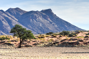 Desert Landscape - NamibRand, Namibia