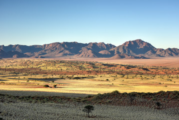 Desert Landscape - NamibRand, Namibia