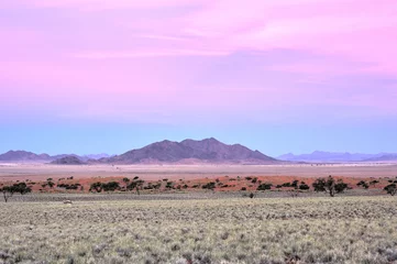 Garden poster Nature Desert Landscape - NamibRand, Namibia