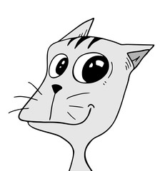 funny cat