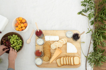 Fototapeta na wymiar Cheese and cracker platter with fresh fruits