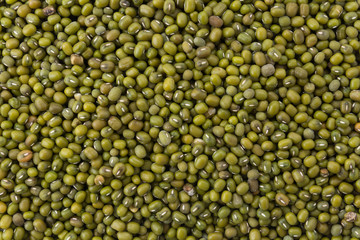 green beans on white background