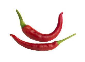 Red hot chili pepper on white background.