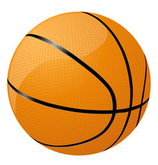 Fototapeta premium Basketball vector icon image