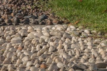 Mini stone with sunlight bury on cement concrete for decorate in