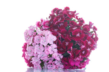 bright bouquet of carnations