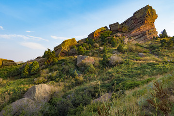 Fototapeta na wymiar Red Rocks Colorado Beautiful fauna and flora around the rocks