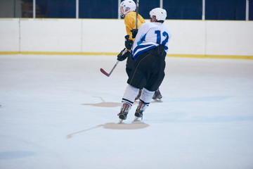 ice hockey player in action