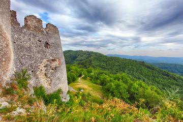 Fototapeta na wymiar Ruin of castle Tematis, Slovakia nature landscape